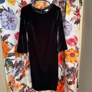 Calvin Klein Sheath Dress with Bell Sleeves